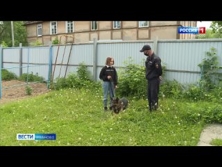 free кинологи помогут исполнить мечту школьницы из лежнева hd