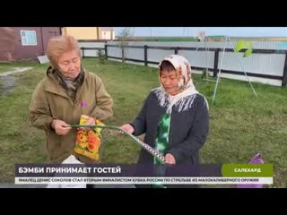 free неравнодушные ямальцы принимают активное участие в судьбе оленёнка бемби напомним это оленёнок которого спасли мои hd