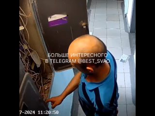 free мужчина что то ищет в электрическом щитке на отрадной 11 hd