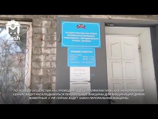 free болезнь ауески бешенство африканская чума свиней в марте в нескольких регионах днр был объявлен карантин пришли на hd