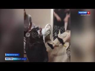 free избиение девочки в молодые лагере на южном урале что грозит секс hd