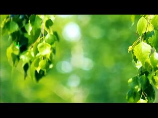 free медитация чакральное вращение ксения меньшикова hd