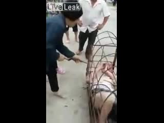 free за измену жена заперла мужа в клетке и прилюдно наказала китай hd