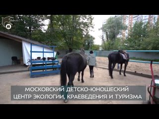 free школьные новости московский молодые юношеский центр экологии краеведения и туризма hd