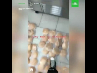free хожу по булочкам сотруднице кафе в кирове хватило ума записать на видео как она ходит по булкам и опубликовать hd