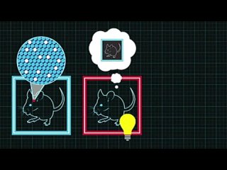 free стив рамирез и сюй лю мышь луч лазера манипуляции памятью hd