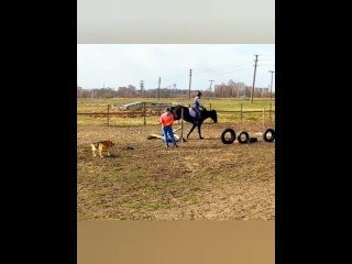 free тренироа апрель 2023 божена мышь mp4 hd
