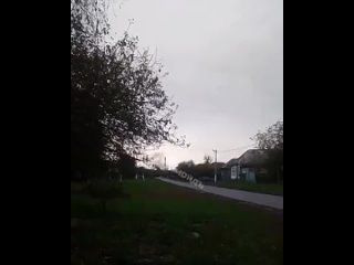 free курская область русня а шо с лицом hd