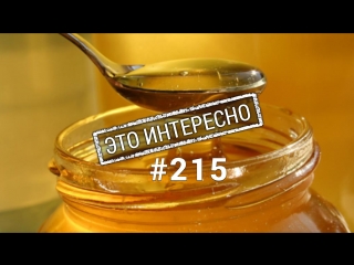 free это интересно 215 почему крайне необходимо есть мед hd