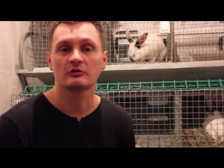 free подогрев зимой маточника для кроликов как покрыть крольчиху hd