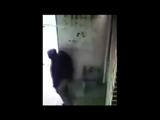free хулиганы любили справлять нужду у него под домом тогда мужчина придумал гениальное решение hd