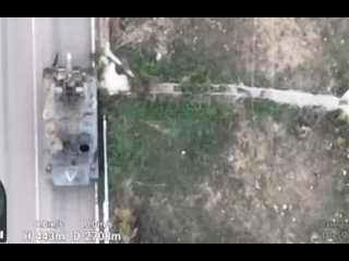 free орк в конвульсіях після зустрічі з птрк фагот hd
