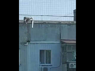 free хорошая новость из новороссийска мужчина с помощью ведра на верее и шланга спас кота застрявшего на парапете hd