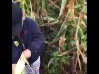 free с малых лет по криминальной дорожке hd