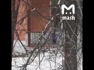 free воспитатели молодые сада забыли малыша на улице после прогулки hd