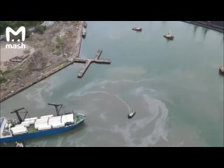 free на диком пляже туапсе в чёрном море разлилась нефть hd