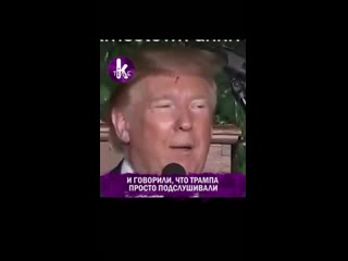 free дональд трамп опять попал в курьёзную ситуацию в этот раз во время речи в вирджинии к трампа присоединился жук hd