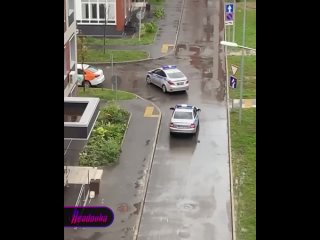 free полиция задержала мигранта который ударил девушку по лицу за спортивные шорты на пробежке hd