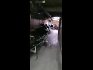free видео из больницы 12 в барнауле в ее подвалах уже некуда складывать трупы hd