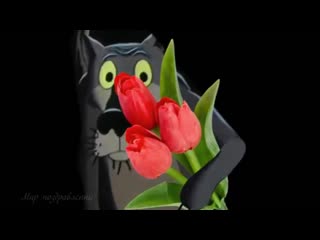 free с 8 марта прикольное поздравление от волка с днем 8 марта hd