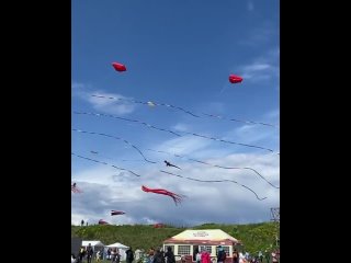 free фестиваль воздушных змеев пестрое небо в царицыно в программе запуск змеев в том числе 30 метрового змея кита маст hd