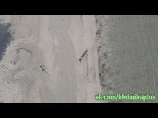 free знойная красавица решила прогуляться голой вдоль пляжа hd