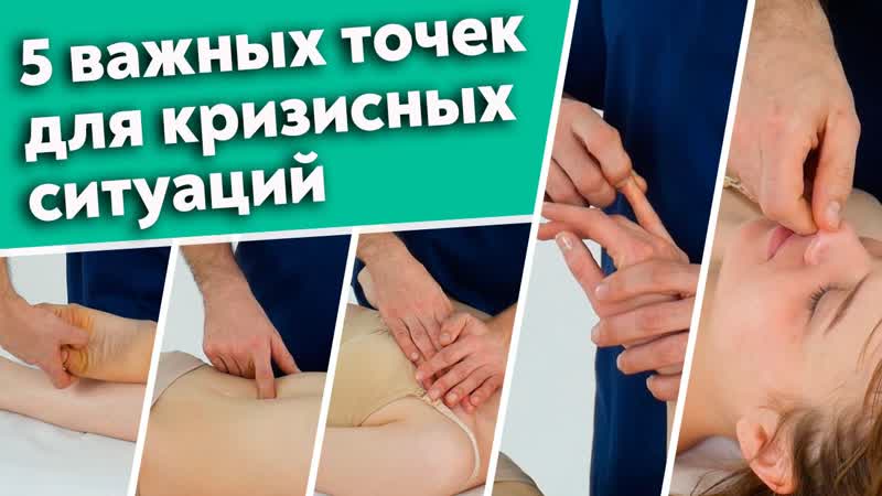 free точечный массаж секретные точки нашего организма 5 самых главных точек для быстрой помощи hd