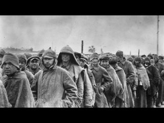free 6 уроков от молодые как из личности сделать биомассу просто проведите параллель и всё поймёте hd