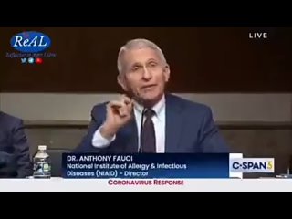 free крысы бегут с корабля который неизбежно тонет америка на слушаниях в сенате мошенник фаучи резко переобулся нач hd