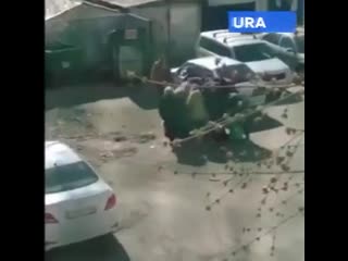 free бессмертный полк пенсионеров челябинска запасается продовольствием перед походом на берлин на помойке супермаркета hd