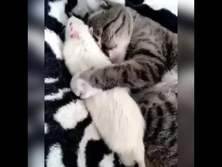 free а ну лежи смирно и никуда ты от меня не денешься hd