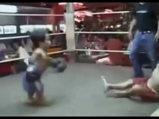 free умопомрочительные бои на ринге каазких карлонов в стиле mma на турнире имени рамзана кадырова hd