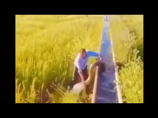 free а вы все еще говорите что знания после школы не пригодятся f ds dct tot ujdjhbnt xnj pyfybz gjckt irjks yt ghbujlzncz hd