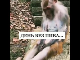 free день без пива день в никуда скучно та и делать ничего не хочется hd