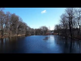 free nula тренироа 14 03 2020 hd