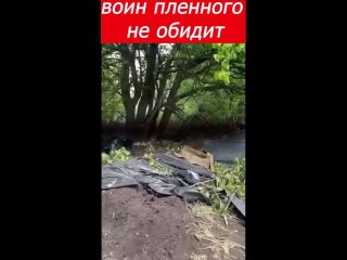 free тяжело смотреть когда знаешь что это не кино а жизнь только что разбит фланг увс hd