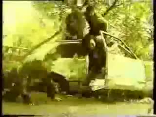 free ленинград 1985 год комсомольская юность димона медведева hd