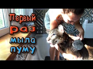 free первый раз мыла пуму помылась сама hd