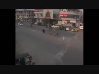 free и там как у нас бродячая скотина свободно разгуливает по улицам в поисках приключений hd