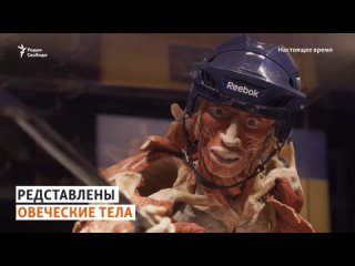 free страшная молодые выстаа с реальными трупами hd