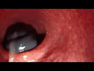 free камера внутри пизды кончание крупным планом скрытая камерапорноинц hd