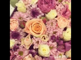 free подарочек любимой учительницеflowerbox рафаэлло nurflower hd