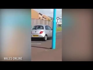 free особое мнение когда в пробке скучно в великобритании на дороге подрались автовладельцы hd