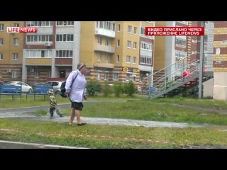 free особое мнение ребенок прятался в луже от бабушки в ростове на дону hd