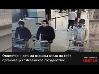 free особое мнение теракт в брюсселе хроника дня что известно на данный момент hd