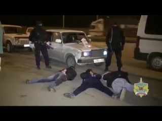free особое мнение отдохнуть приехали интим бригада поваров кондитеров обосновалась на горьковском шоссе hd