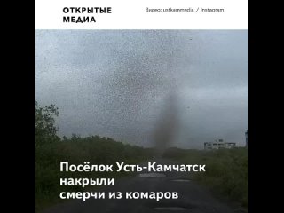 free на камчатке засняли смерч из комаров у насекомых брачный период hd