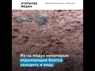 free медузы заполонили побережье азовского моря и вытеснили отдыхающих hd