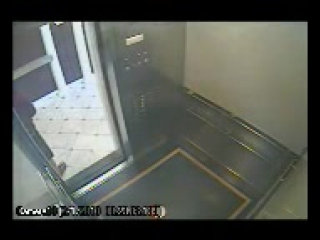 free загадочная смерть элизы лэм видео от 31 января на котором запечатлена элиза в лифте отеля когда ее видят живой hd