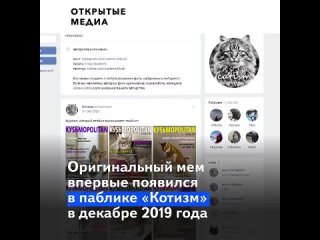 free наташа мы всё уронили автор известного мема с котами регистрирует его как товарный знак hd